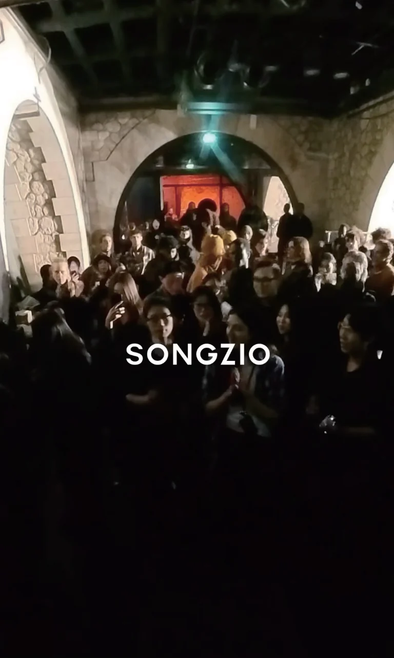 Songzio — campaign image 1